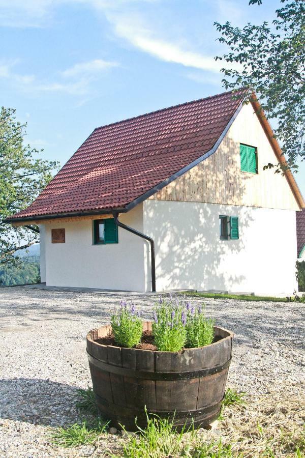 Vila Loni Zgornja Kungota 외부 사진